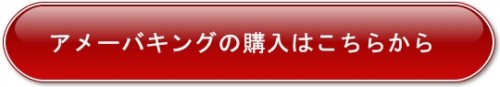 アメーバキングⅡ購入